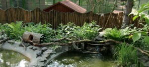 Streichel-Zoo im Haus Natur und Umwelt Berlin - Mein ...